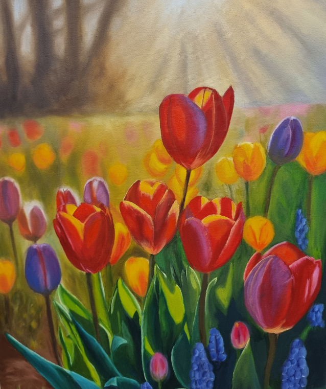 Tulips